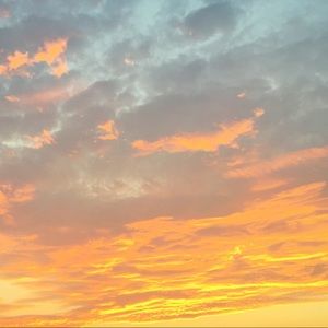 Meet your Posher, Ellen